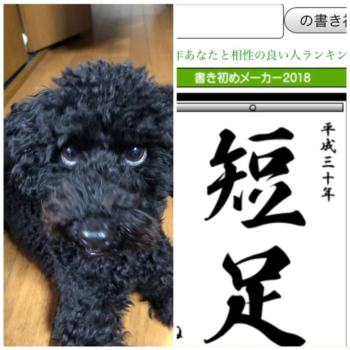 13dac1ce 88cd 4252 8005 a771e1b489f5 1514954340181