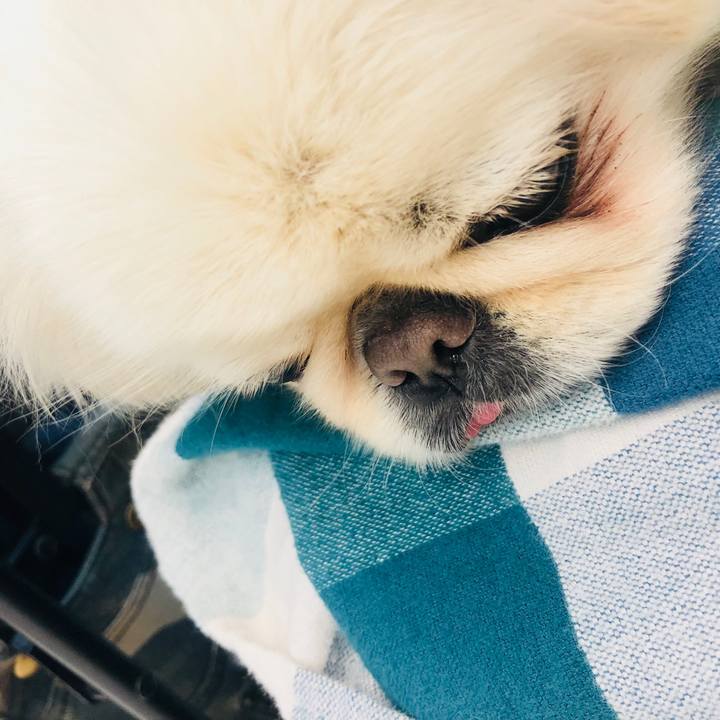 13dae06f 8cdc 4120 bf1d 2baee9bca5a4 1550729756045