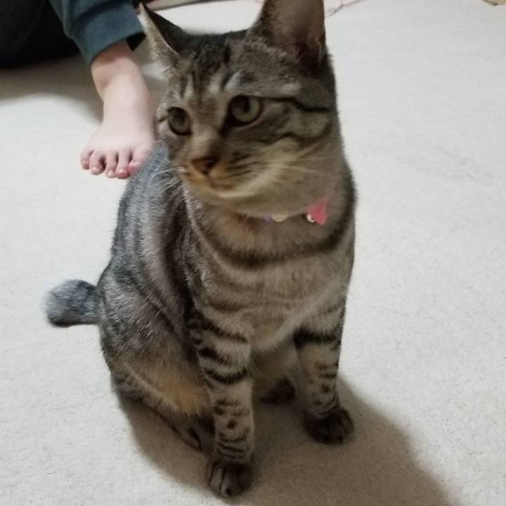 13dafa7f 9cd9 4fa3 95dd cb4b15eff8e5 1684850589602