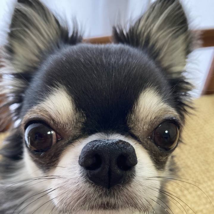 13db0053 8d35 4c58 8809 aac6644e5e73 1651238363900