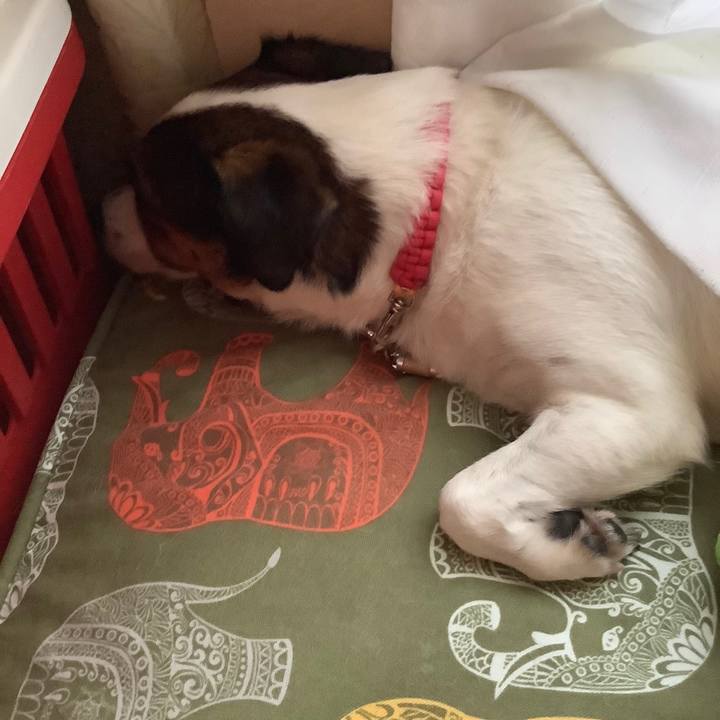 13db0df3 868a 4b2d 8da9 d04ebe0733c4 1570234564318