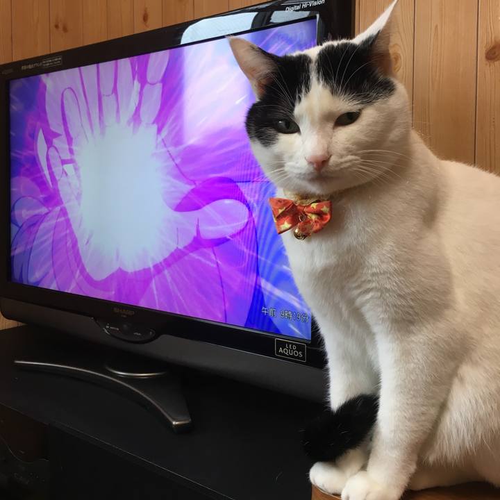 13db35fa b97f 45f6 8db3 b4c74e5ae399 1508026947240