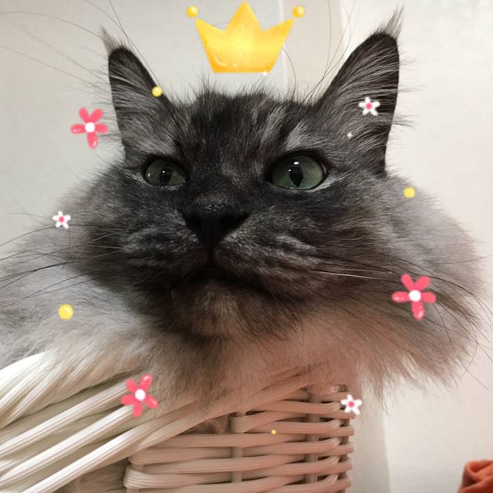 13db3871 72bf 4314 8346 cfc406a68ded 1555741210083