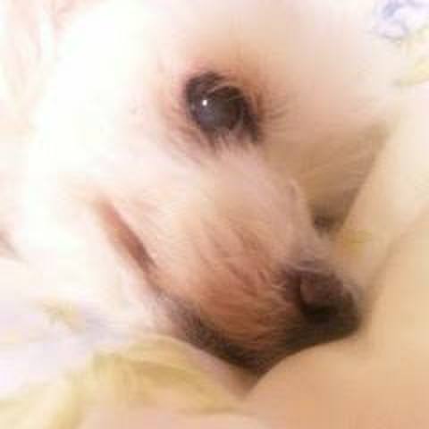 13db5cc0 cc2a 4e95 824b 6ffa53028dd4 1558747786607