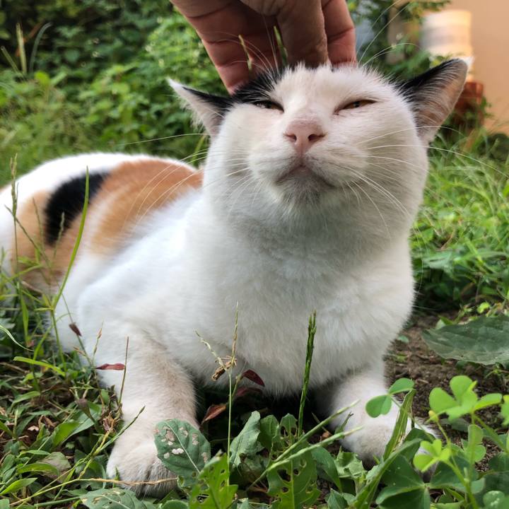 13db6bbd 2694 4a80 a697 e06a5979ff63 1598911996885