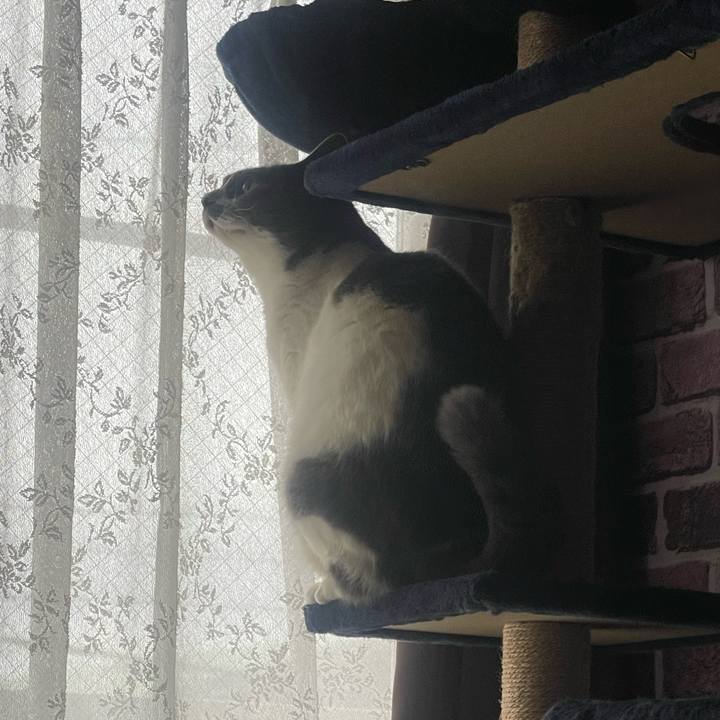 13db88b9 c9de 4dcc 934f fcc2150b0ea5 1743125392971