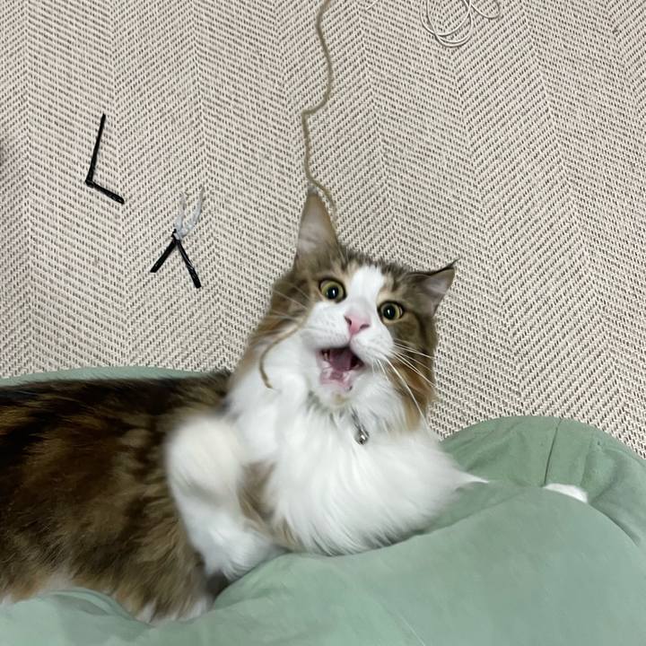 13dbbf25 33c8 43ed 983b 4c801746b967 1669325809149