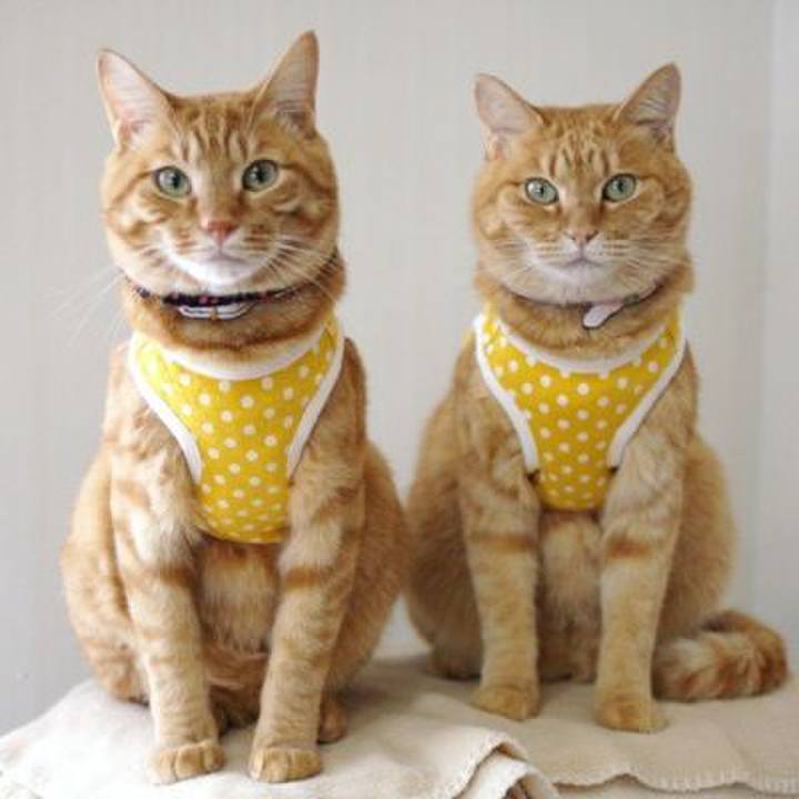 13dbd7f0 7517 4c34 83f3 c71e2e16c51b 1722671338181