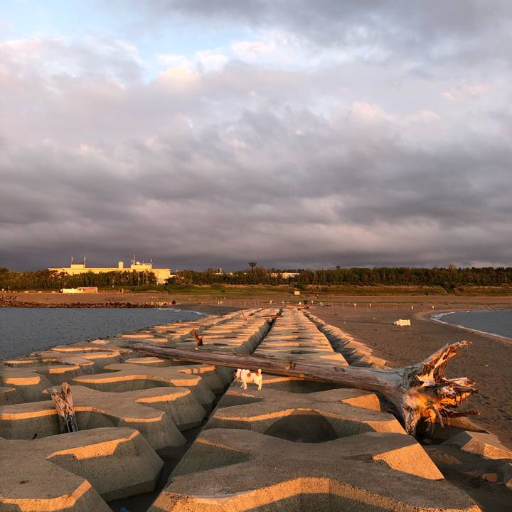 13dbf8a4 e6de 4089 a86c 915e48665d10 1590573440435