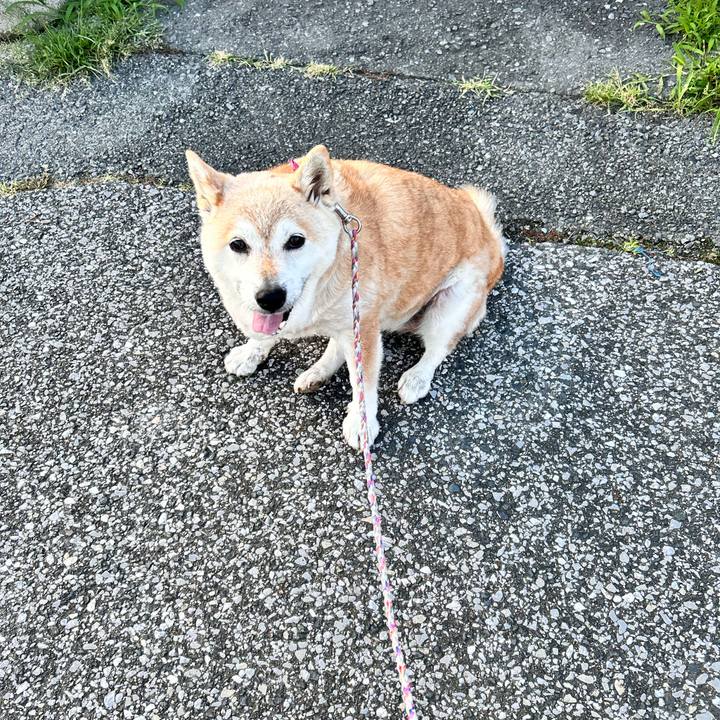 13dc08db 7384 403f b181 b2898a429cdd 1750075717319