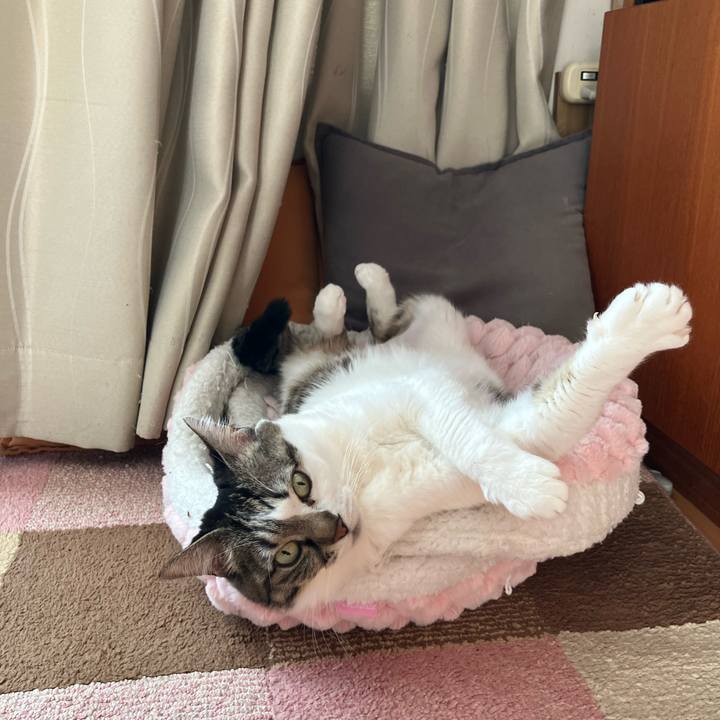 13dc8b9d 4c92 4612 9071 a3523ff4b0ce 1771023138642