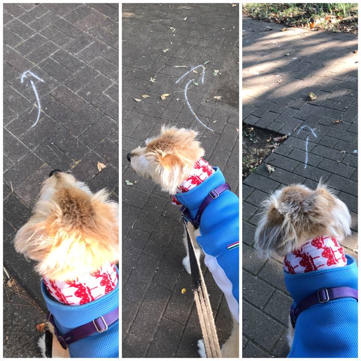 13dd2cd0 809a 404a 96aa 77553369b7ec 1597995352624