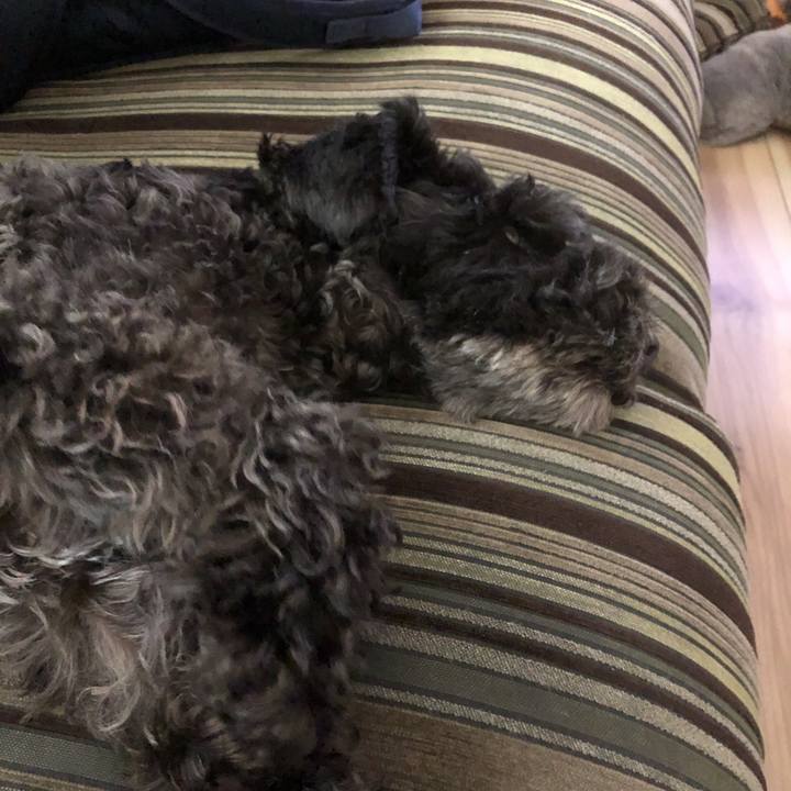 13dd547d c8b3 4cd8 a1b7 6aedf540f26e 1562986464282