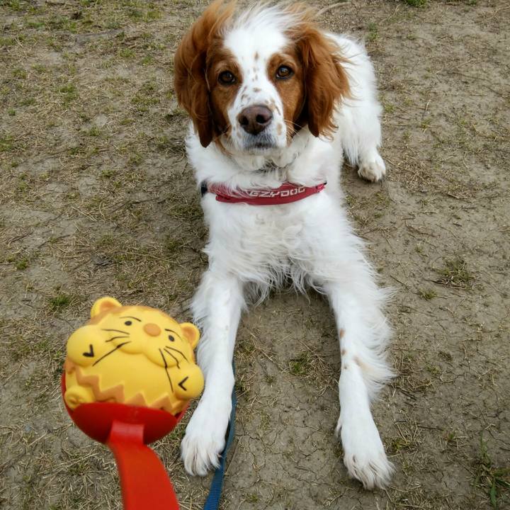 13dd5548 2820 4827 bfd3 1cba27f73f3a 1553765188541