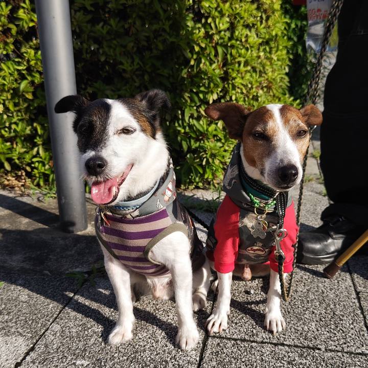 13dda334 388c 470e b21c b7d2e322c88a 1750991446065