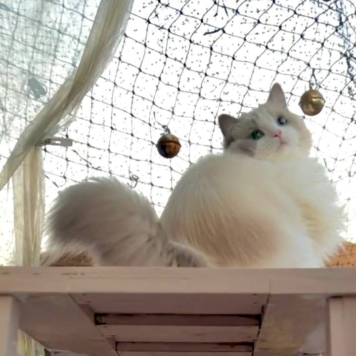 13ddae0f 23af 449c 82b0 2b81a524c3d7 1670238067339