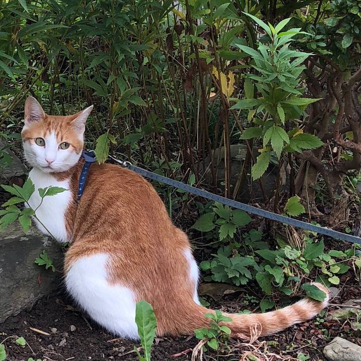 13ddc4ae 0ec0 4d82 a39a f9725883fb3b 1538711725766