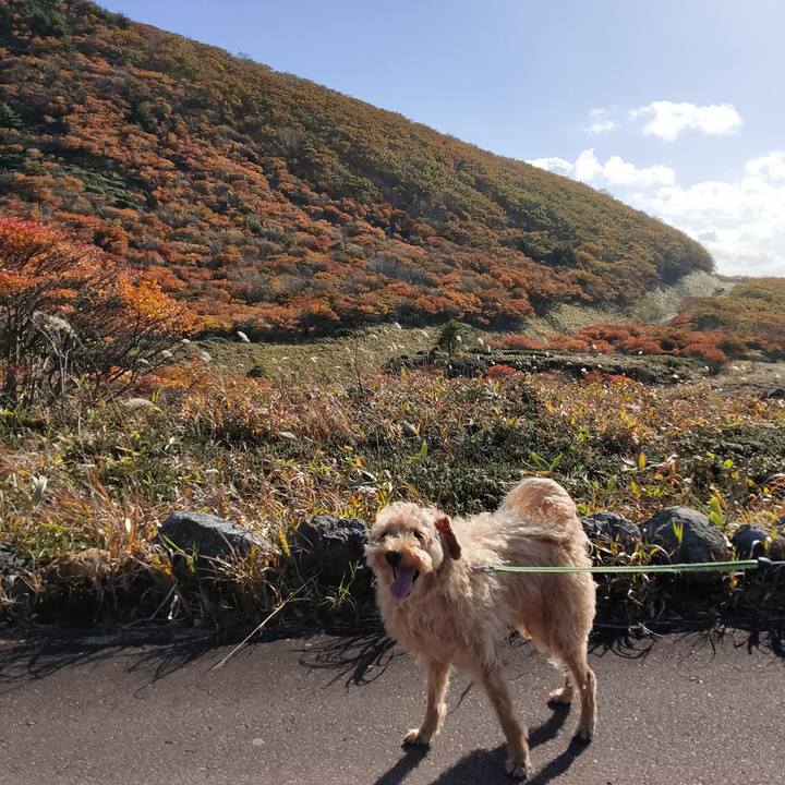 13ddcf4f 44eb 4c28 881e d6157b1d6d31 1603548666835