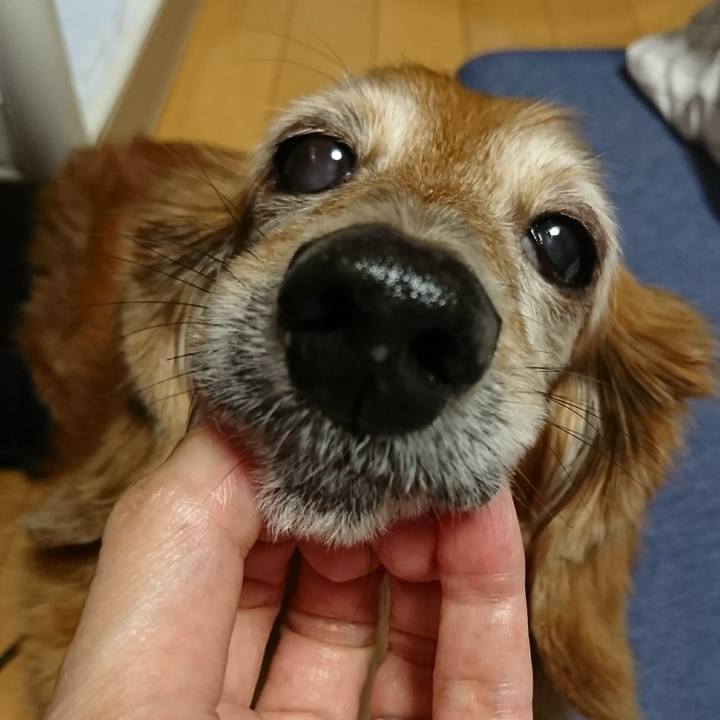 13de0177 f5cf 405a 9540 0c8d6cbde171 1509446499233