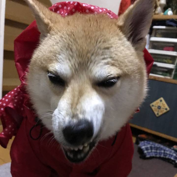 13de0391 3b97 401d 8d42 7887d15253df 1513048816071