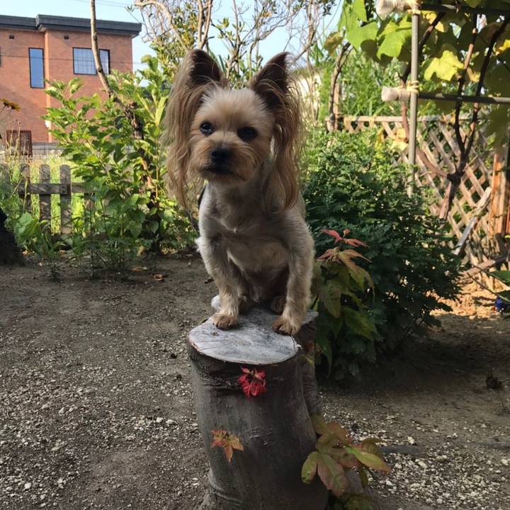 13de3c7c 4f56 41da 88f0 5dc1ee659a78 1564831657224