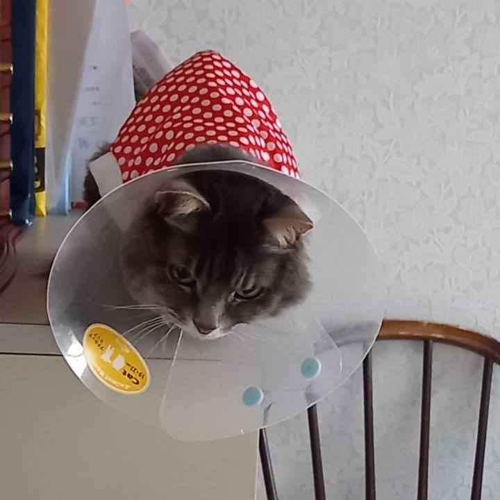 13de4ece 1816 4b30 b7f9 c347da71d833 1654602131895