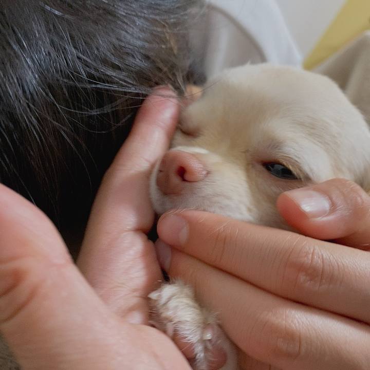 13de4eeb c5c4 46f8 98dd 8423d17c4a9b 1614987708145