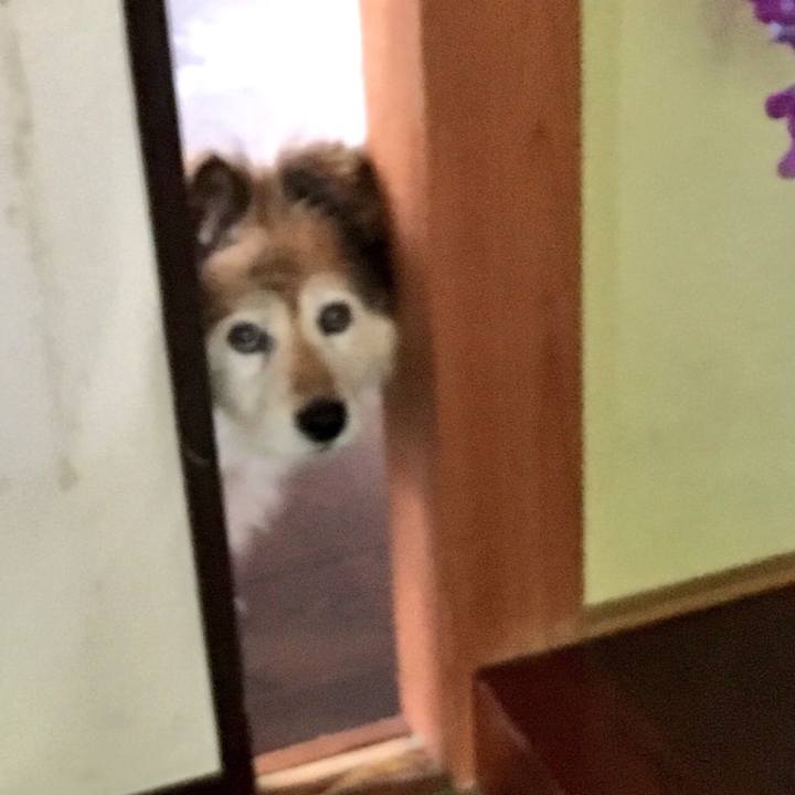 13de4ff9 2d24 4106 957b 54105e572bbf 1586539149113