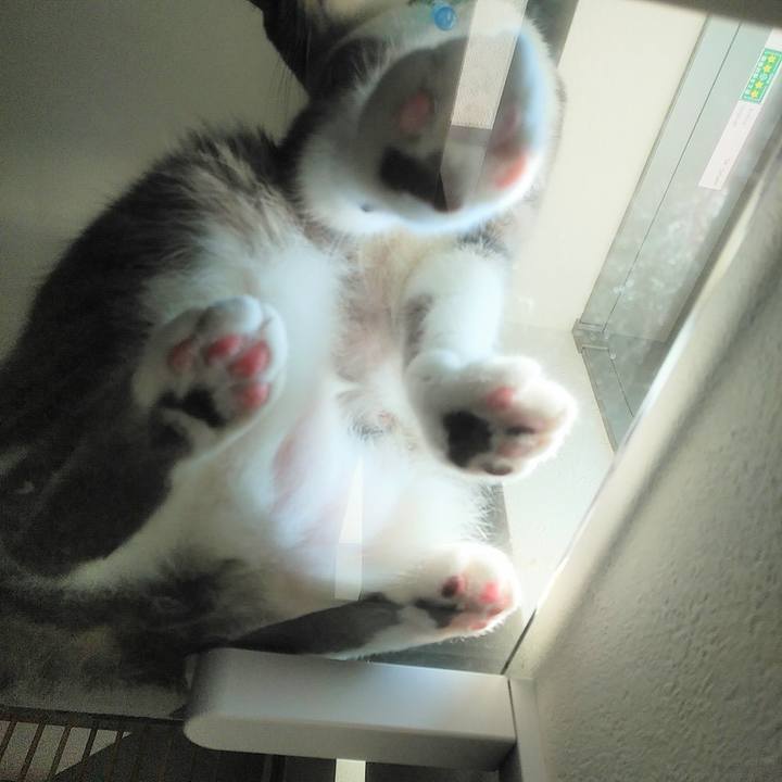 13de5627 68ac 48c6 8182 0584f447a54d 1588203324202