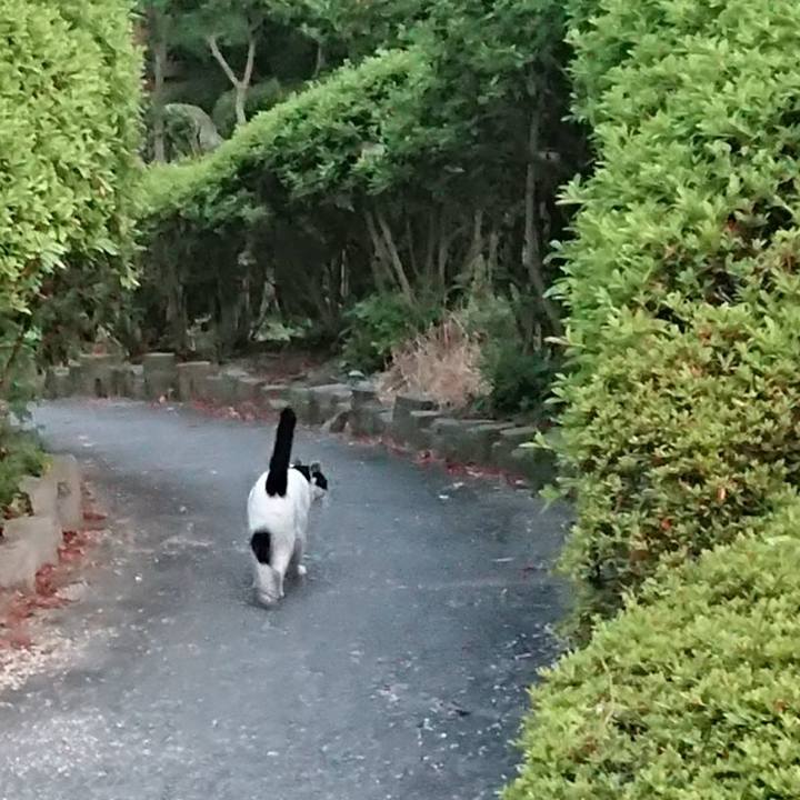 13de9a41 c11a 4a26 a410 d3770fcd89e0 1690810515068