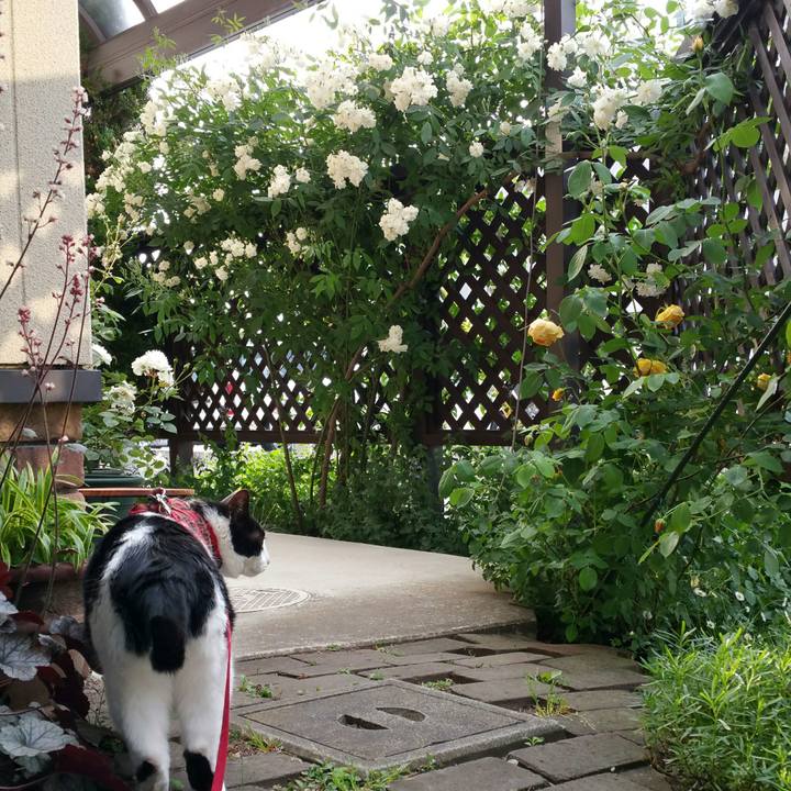 13dec7a9 976a 41a6 8230 9a46c63121c7 1528763404930