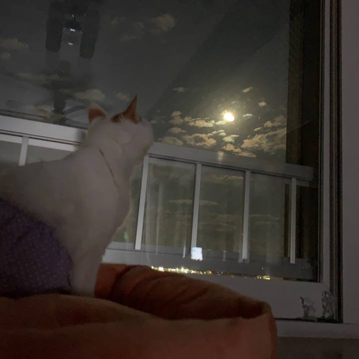 13df32d2 6225 494a 8085 34d2c647ef18 1586386221666