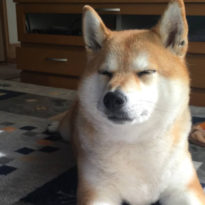 13df5360 84c4 4c6f a7df 0aac9dd12af6 1604202932249