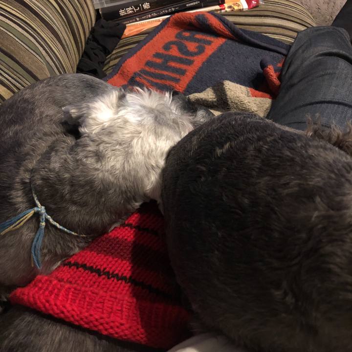 13df5b36 7918 46de 931b 8494e00d7800 1544099262300