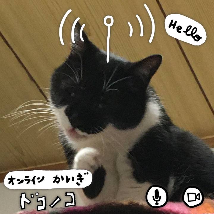 13dfa182 f852 44c9 b4e9 c58306270559 1591270323339