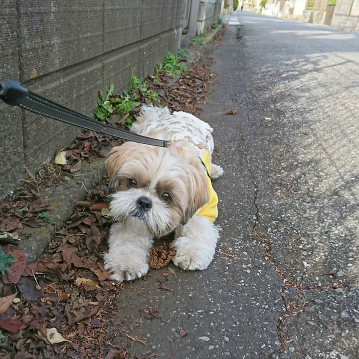 13dfc333 fa4a 487d 9824 9f8130b5f129 1545714925264