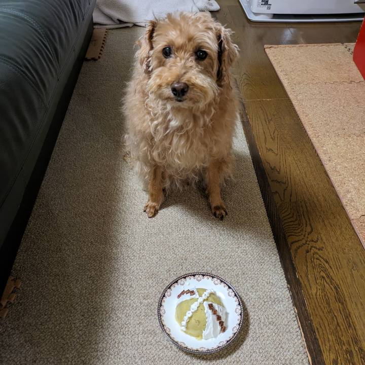 13dfc473 b182 4bfe 9ae4 14d1b80b0ce2 1717757861769