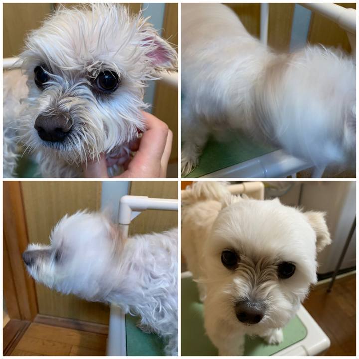 13dffd48 6579 48f6 9849 a1f47f1068c8 1607916883624