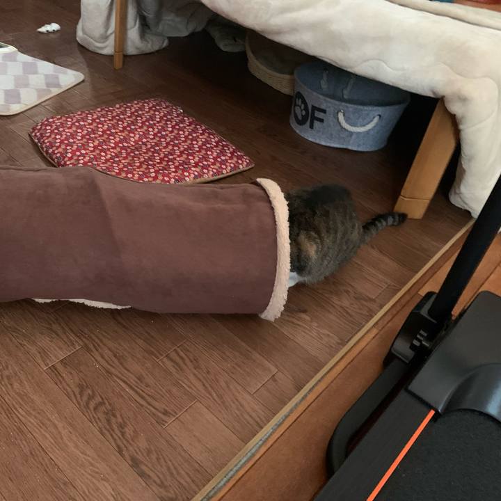 13e01ea1 7d1a 4d5f 9ddb 8b46ed873b37 1632089370846