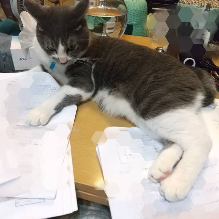 13e04338 aad8 4f88 85bb ad1de61ed532 1633767548255