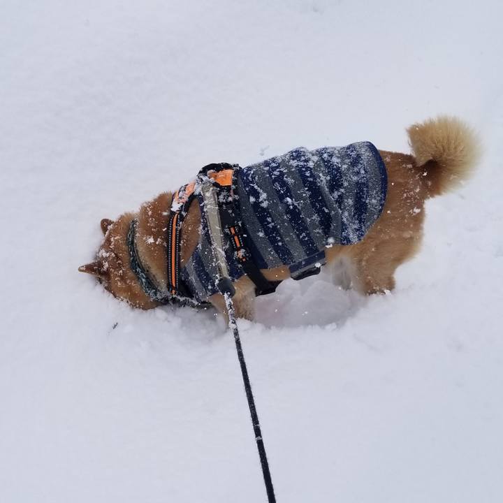 13e06005 7858 4178 a134 0aedec3e2cef 1706153429769