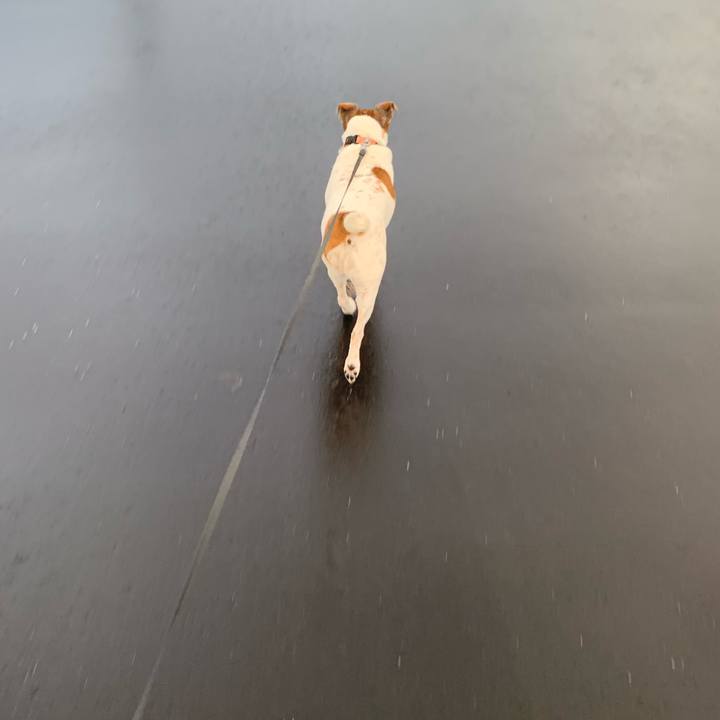 13e07fab 30a9 4147 9058 dc95fdefe32e 1593868047513