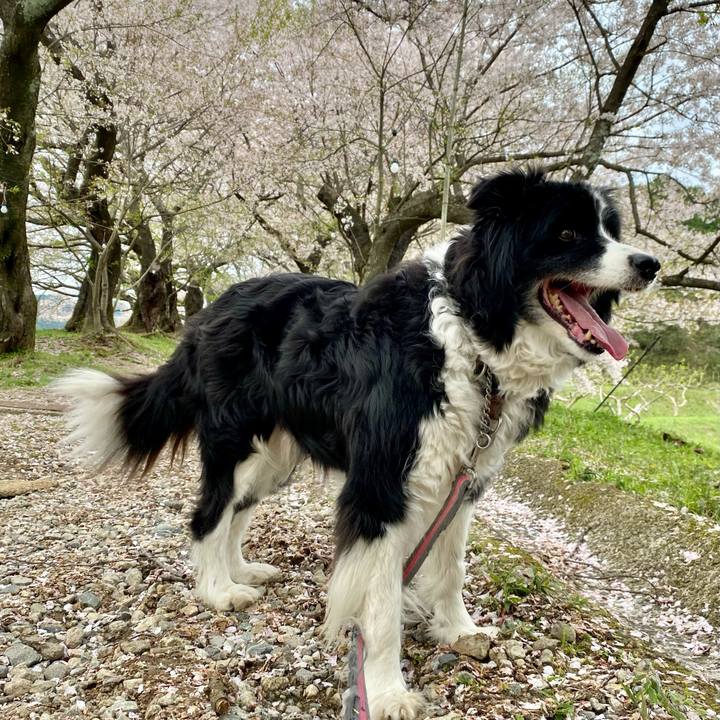 13e0de66 f67e 4433 90fa 109ae7a3290b 1712303696679