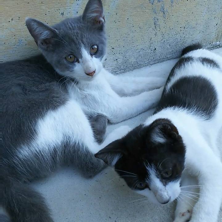 13e0e31c cdbe 407f b496 960659dbe997 1531646936531