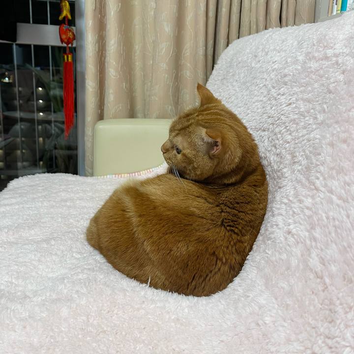 13e19535 df88 48b9 a6bb 54f6f1a0df34 1708863936332