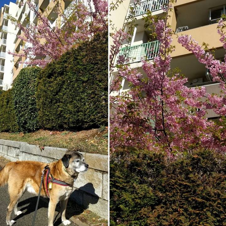 13e20f5c 2751 4a51 bab6 354dcaed818e 1552005538713