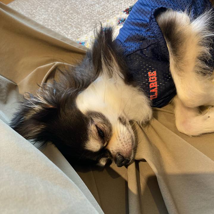 13e22515 0560 47e2 8ae1 2bbffb054d95 1717915218152