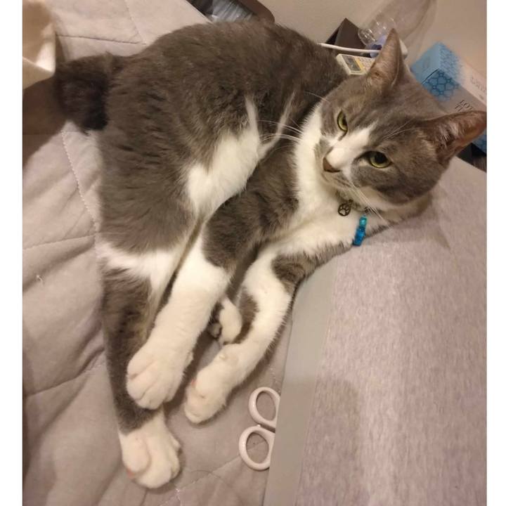 13e22785 b554 48d0 b911 b3434ea51cf0 1691673716520