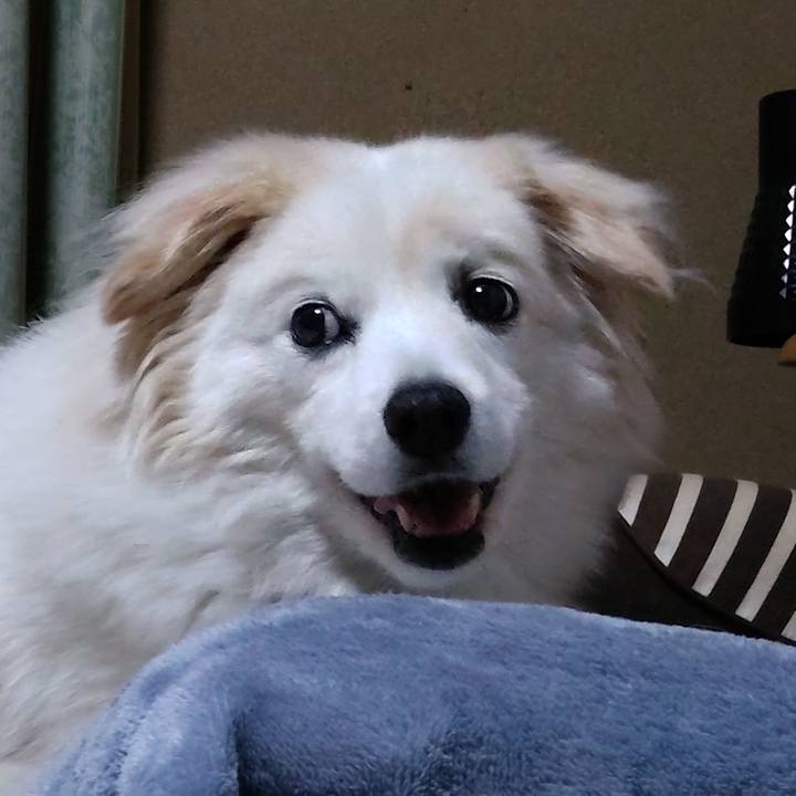 13e22c63 1d6e 44dc 93a6 b3e191c8811d 1653342914021