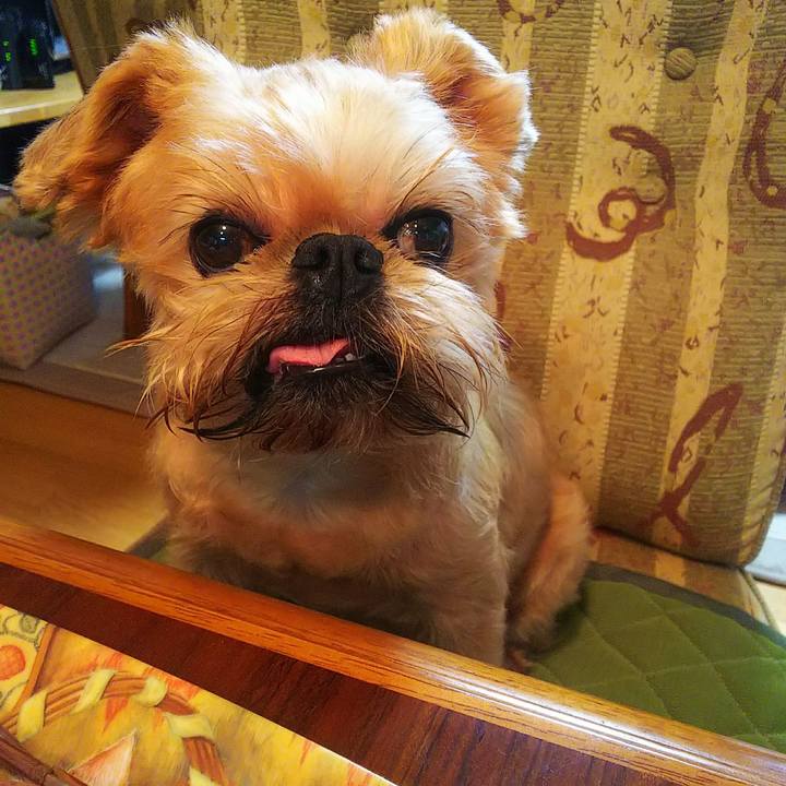 13e23316 9281 4dbc 9037 16e140ce89b1 1595813858846